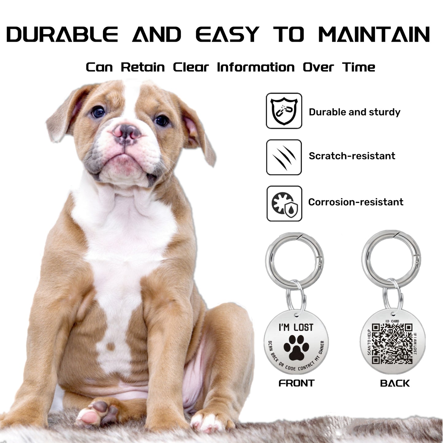 2 Pack QR Code Smart Dog Tag with Customized Pet Profile & Location Alert – Stainless Steel Personalized Cat Name Tags