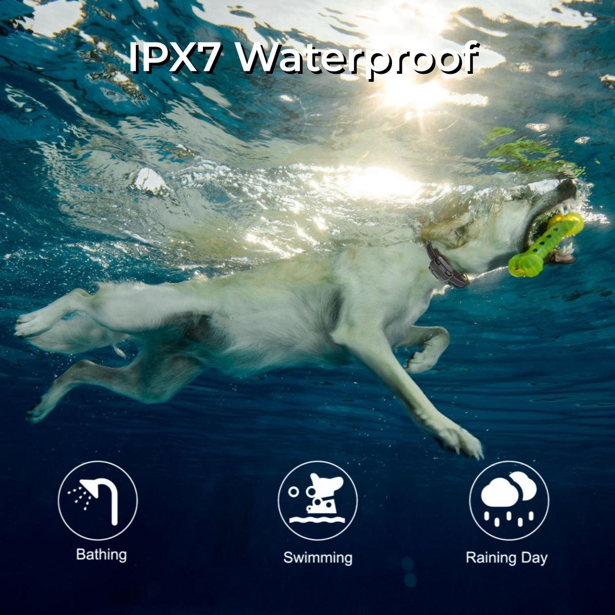 Dog Training Collar with Remote, 3 Training Modes, 3000 Ft Range, Rechargeable IPX7 Waterproof Shock Collar for Medium and Large Dogs, 15-120 lbs