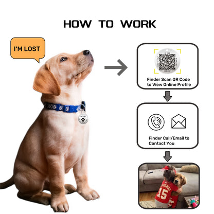 2 Pack QR Code Smart Dog Tag with Customized Pet Profile & Location Alert – Stainless Steel Personalized Cat Name Tags