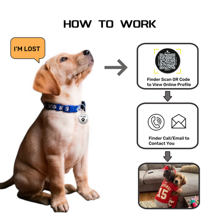QR Code Smart Dog Tag with Customized Pet Profile & Location Alert – Stainless Steel Personalized Cat Name Tags (2 Packs)