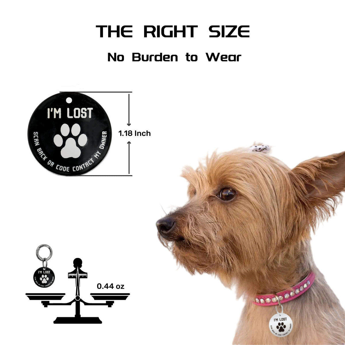 QR Code Smart Dog Tag with Customized Pet Profile & Location Alert – Stainless Steel Personalized Cat Name Tags (2 Packs)