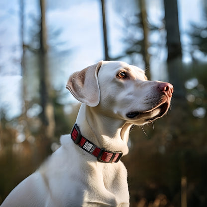 QR Code Smart Dog Tag for Collar with Online Customized Pet Profile & Location Alert – Stainless Steel Personalized Cat Name ID Tags