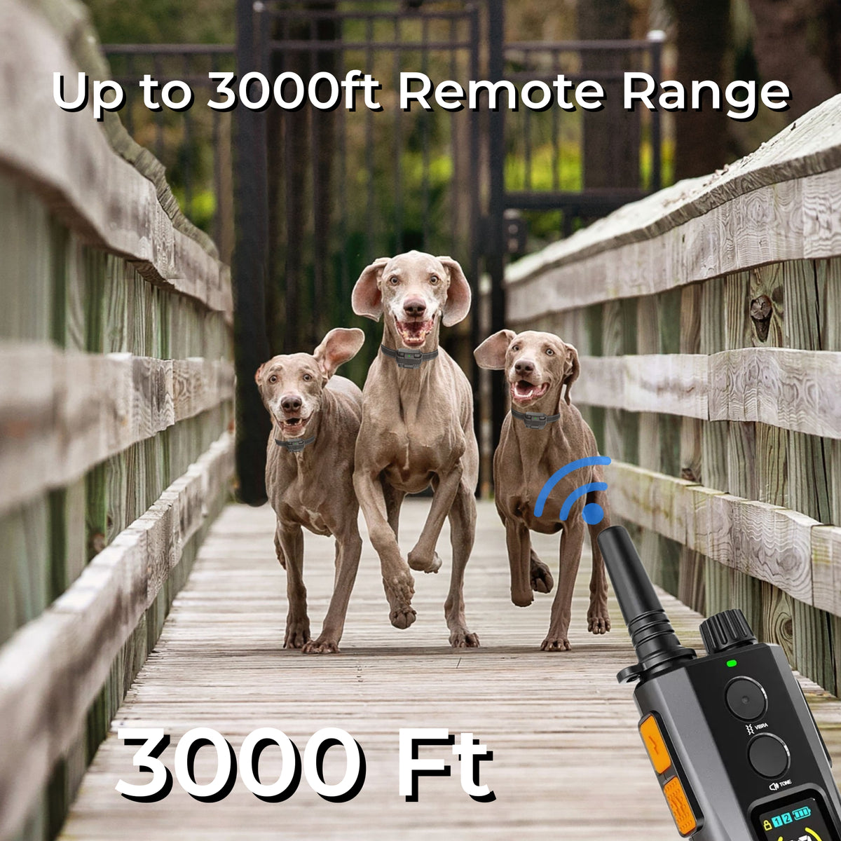 Dog Training Collar with Remote, 3 Training Modes, 3000 Ft Range, Rechargeable IPX7 Waterproof Shock Collar for Medium and Large Dogs, 15-120 lbs