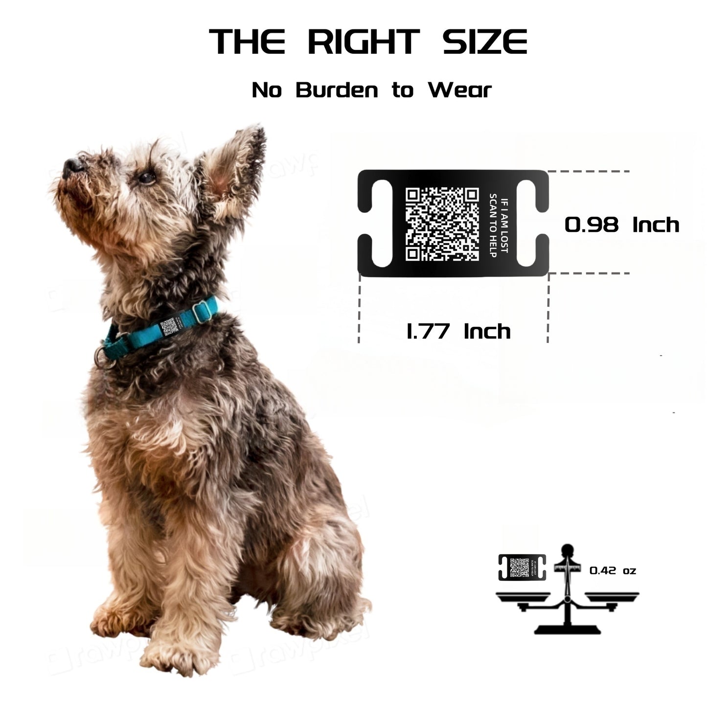 QR Code Smart Dog Tag for Collar with Online Customized Pet Profile & Location Alert – Stainless Steel Personalized Cat Name ID Tags